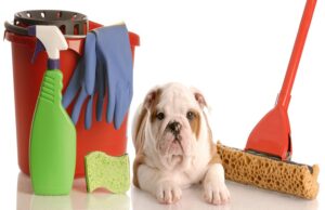 Pet-Friendly Cleaning Tips